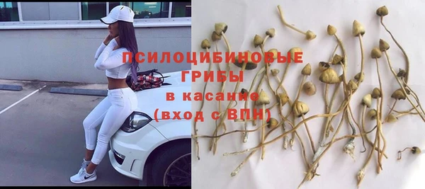 spice Балахна