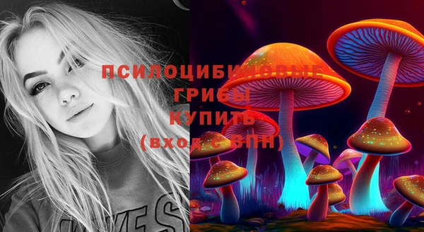 MDMA Premium VHQ Аркадак