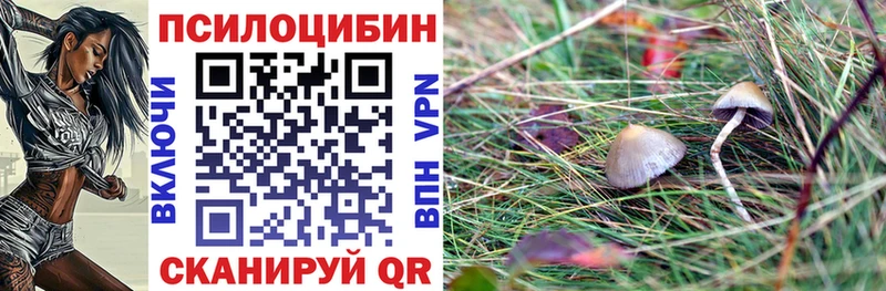 Псилоцибиновые грибы мухоморы  Дмитров 